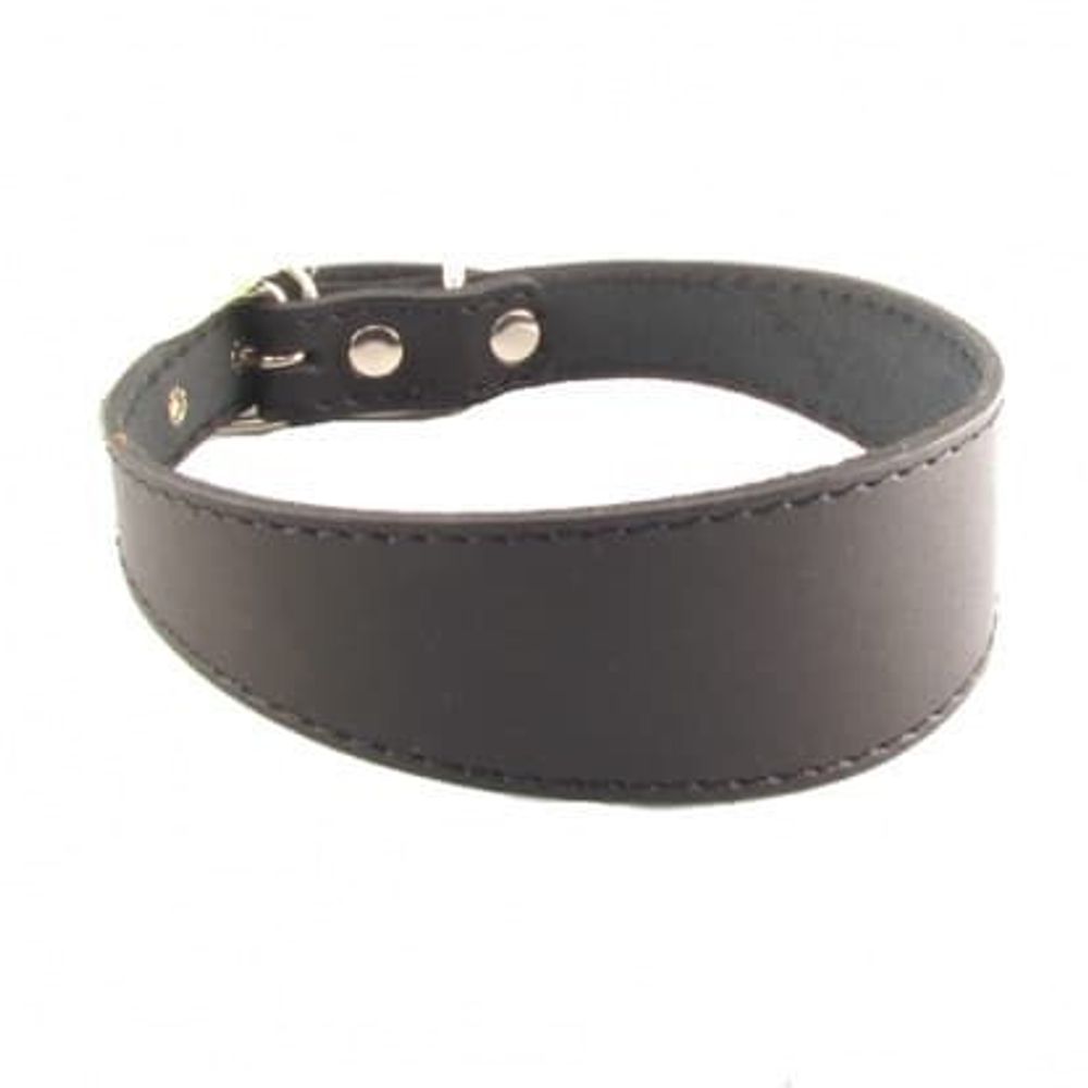 Ошейник (Лаурон) Селедка № 15