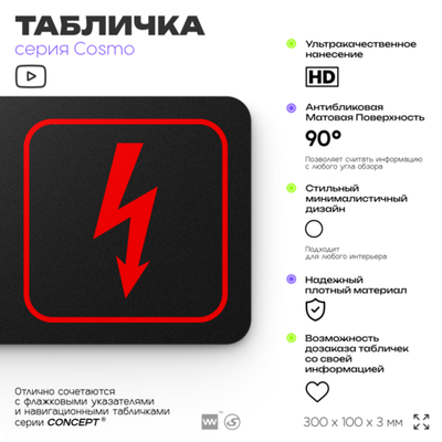 Табличка Электрощитовая, для офиса, кафе, ресторана, магазина, отеля, 30 х 10 см черная, Айдентика Технолоджи