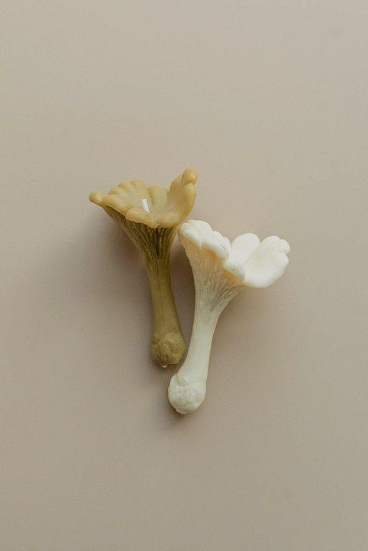 Свеча Гриб Лисичка / Unification Love