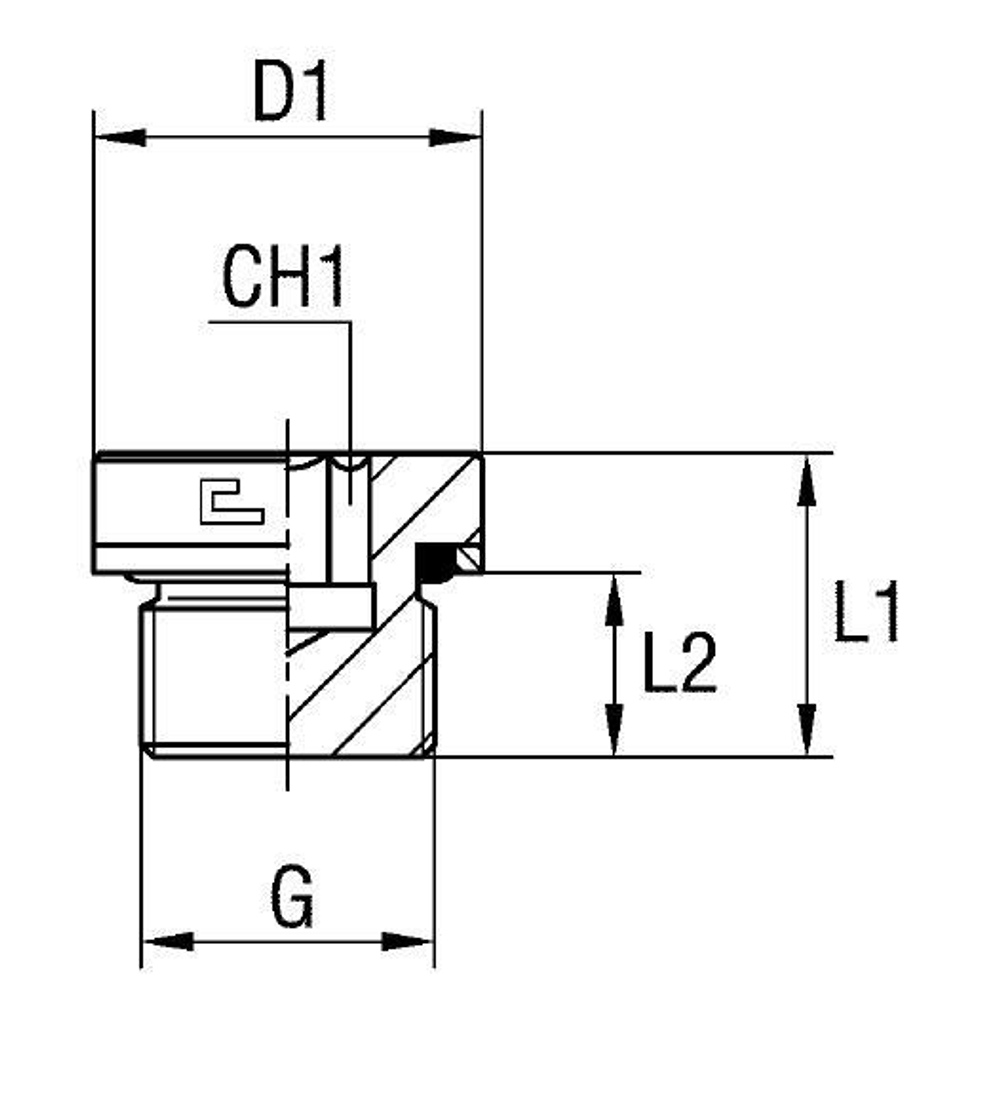Заглушка V (Ш) BSP1/4"