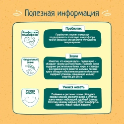 Сухая каша Фрутоняня безмолочная пшённо-рисовая с кусочками манго, для варки, 200 г