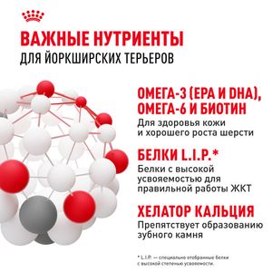 Уценка! Срок 09.2025/ Сухой корм Royal Canin Yorkshire Terrier Adult для взрослых собак породы Йоркширский Терьер от 10 месяцев