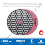 ЗУБР АГШК 100 мм, №3000, сухое шлифование, Алмазный гибкий шлифовальный круг (29868-3000)