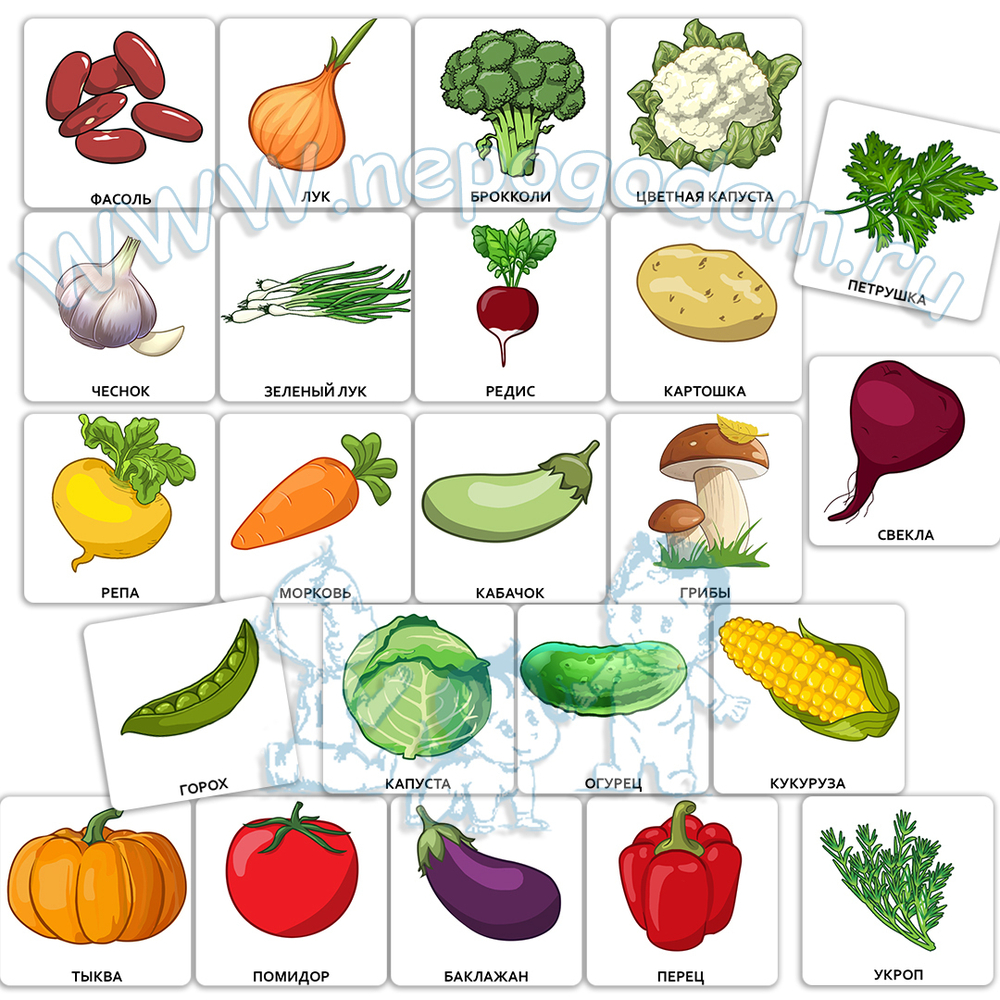 Набор карточек ПЕКС/PECS "Овощи"
