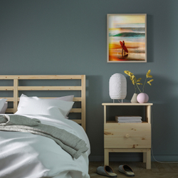 IKEA BILD  (ИКЕА БИЛД)  -  Постер, калифорнийское холодное соло, 40x50 см