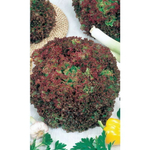 Семена Салат Лолло Росса (УД) Е/П