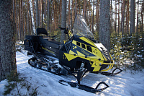 Снегоход Рыбак Торос 600S 800Pro