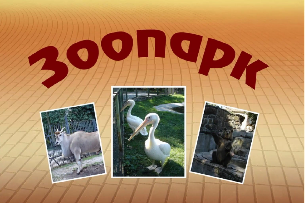 Фотографии "Калининградский зоопарк"