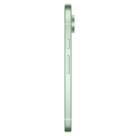 Смартфон Google Pixel 9 12/256Gb, зелёный (Wintergreen)