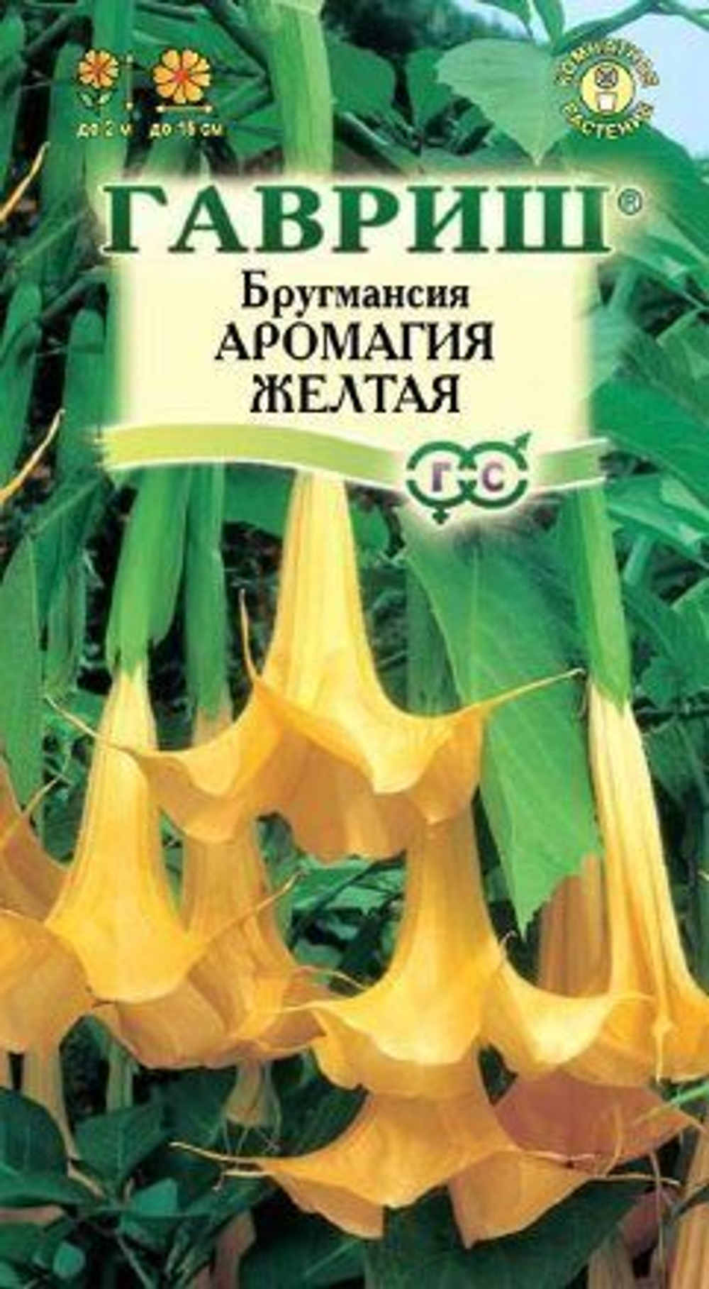 Бругмансия Аромагия желтая 3шт (Гавриш)