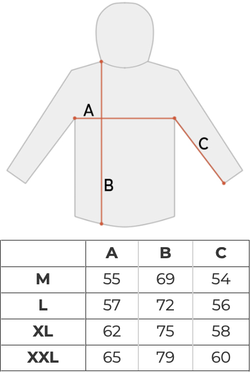 Толстовка мужская Carhartt WIP Hooded Chase Sweatshirt