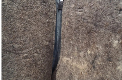 Потник кожаный