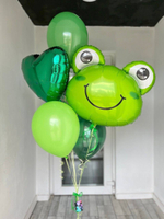 Сет шаров «Зеленая лягушка»