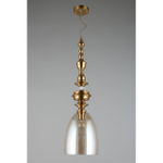 Подвесной светильник Aployt Rena APL.602.06.01