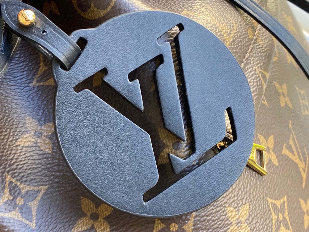 Louis Vuitton Montsouris Backpack PM