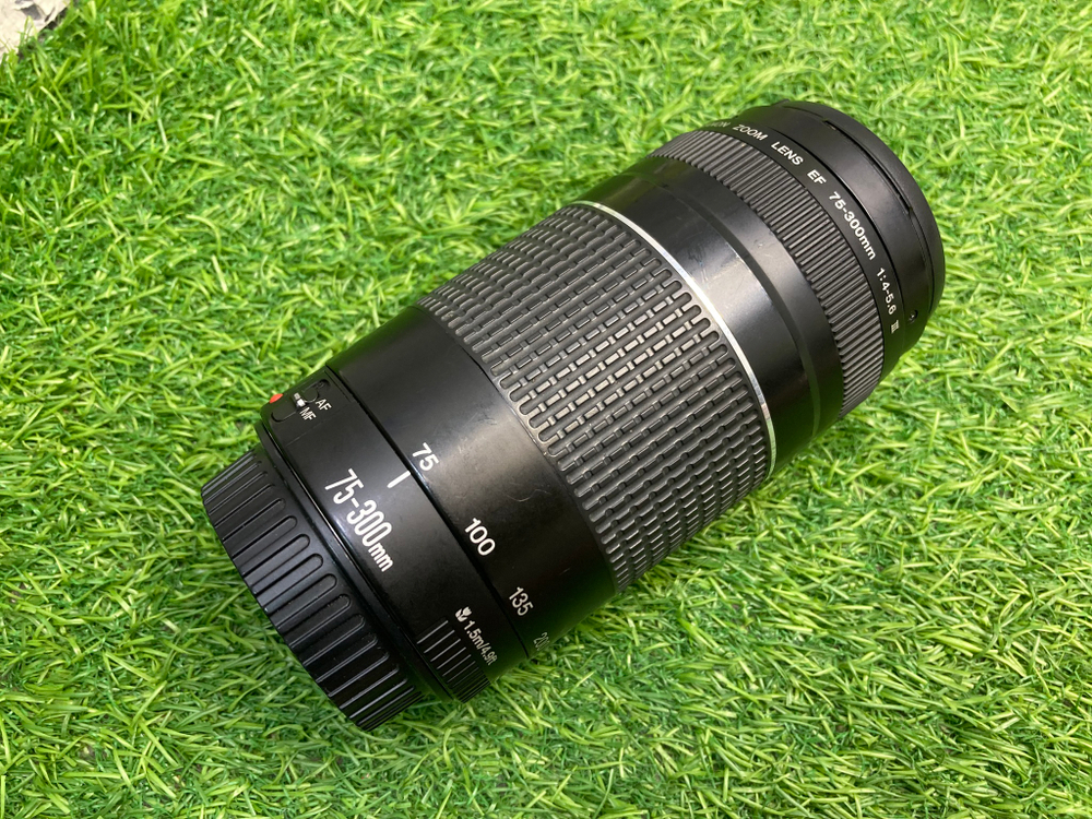 Canon EF 75-300mm 4-5.6 III
