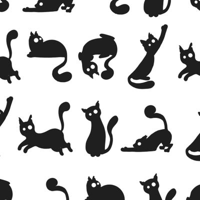 Черные смешные коты в разных позах