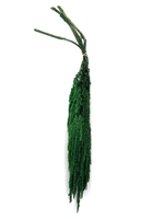 Амарант Изумруд