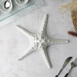 Блюдо для подачи 24 см h6 см Звезда Gray Starfish Frutti di Mare P.L. [1]