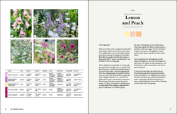 The Gardener`s Palette: Creating Colour Harmony in the Garden