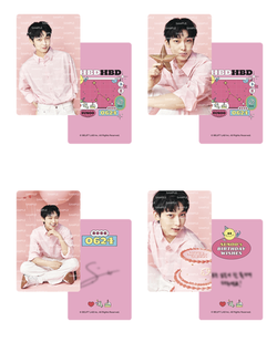 Набор гирлянда с фотокартами [SUNOO] DIY Photo Card Garland