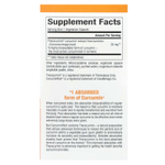 Natural Factors, CurcuminRich®, Theracurmin®, 30 мг, 60 вегетарианских капсул