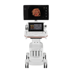 УЗИ аппарат Samsung HERA Z20