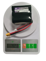 Аккумулятор Z-2242W-XT60