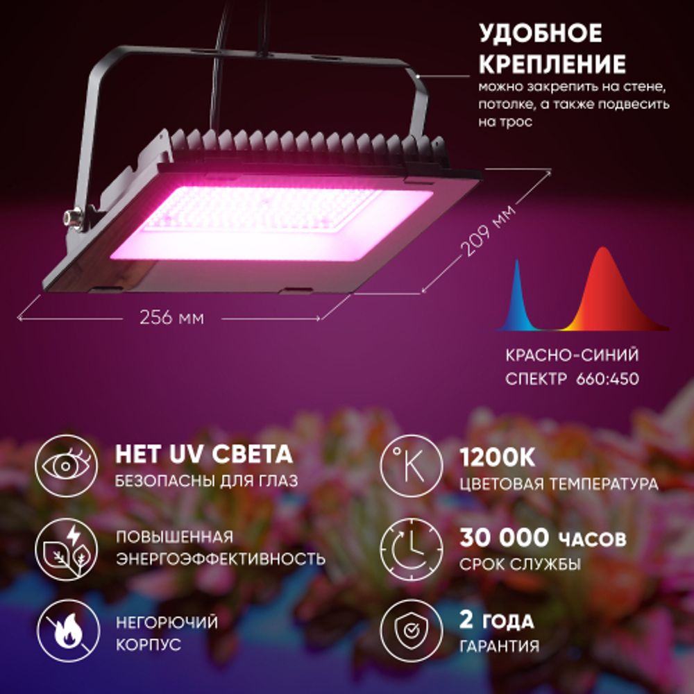 Фитопрожектор для растений светодиодный ЭРА FITO-100W-RB-LED для цветения и плодоношения красно-синего спектра 100 Вт | Фито прожекторы