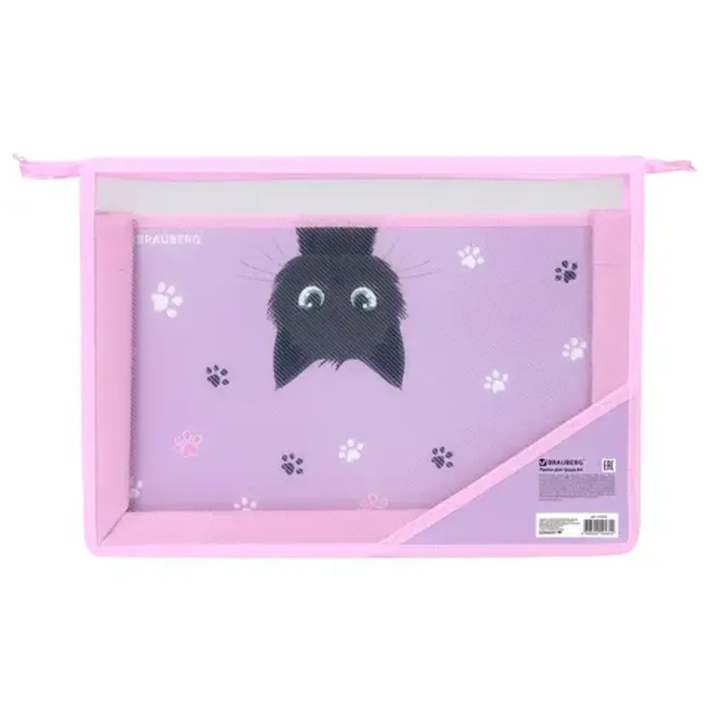 Папка для труда 2 отделения А4 на молнии, рисунок на пластике Brauberg Hide and seekро