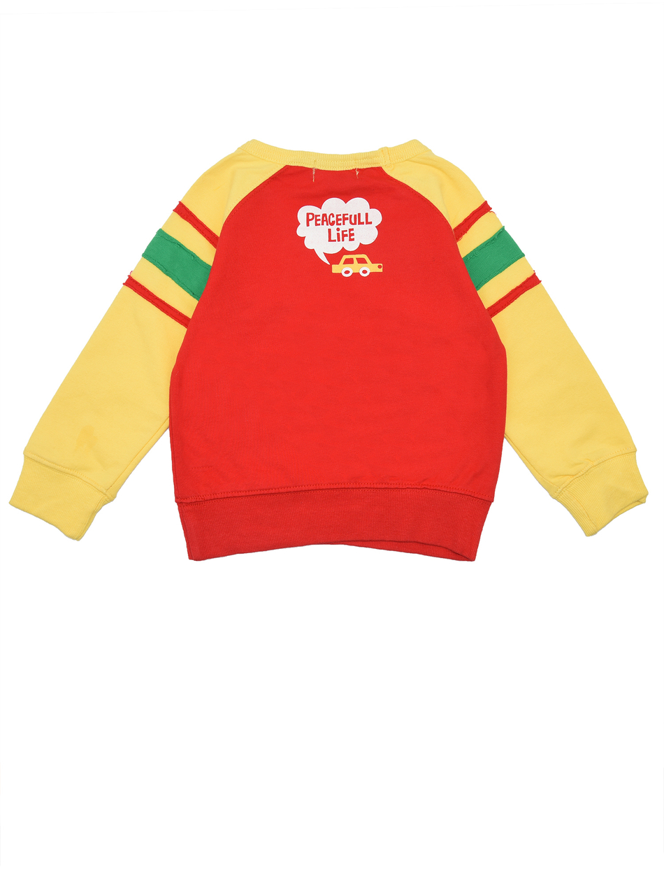 Толстовка для мальчика