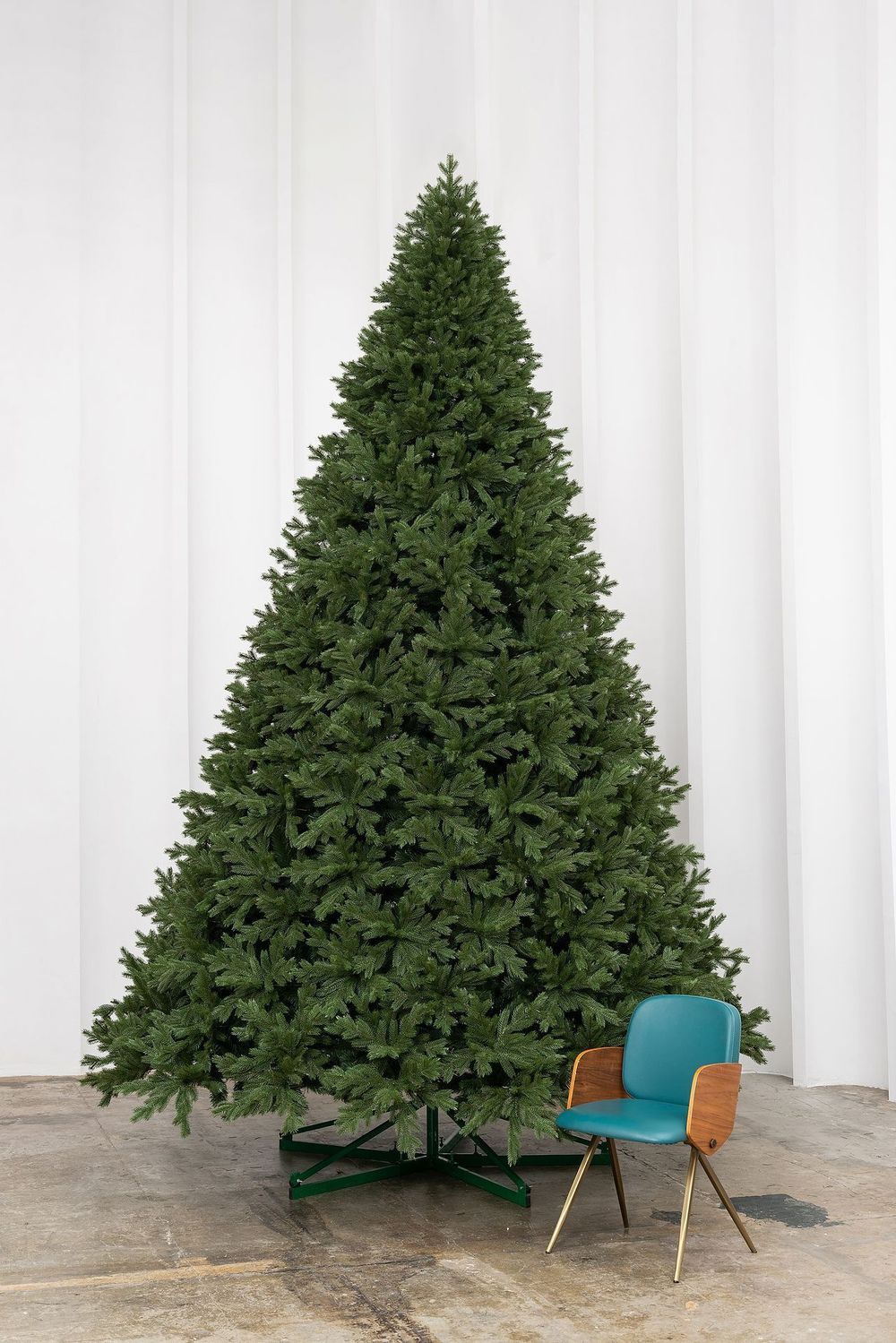 высокая ель ствольная