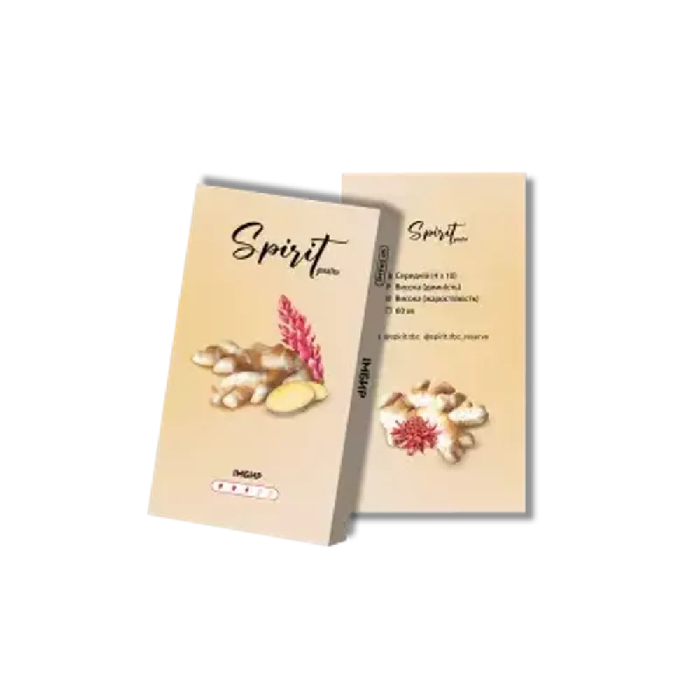 Spirit Gastro Imbir (40 g)