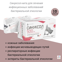 НИТА-ФАРМ Синуксол-нита 500 мг, таблетки, 10 шт. Амоксициллин.