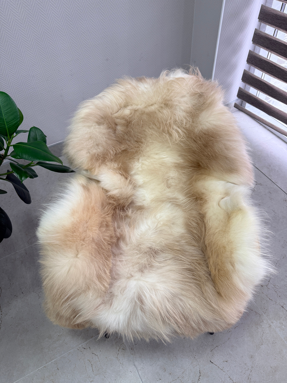 Шкура коврик меховой прикроватный овчина, 120х65 см.