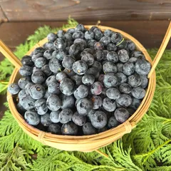 Голубика премиум / 1 кг