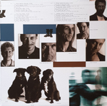 Eric Clapton / From The Cradle (2LP)