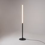 Напольный светильник (торшер) Maytoni Z012FL-L18B3K