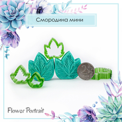 Смородина мини