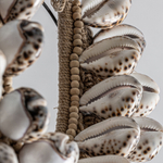 Фигурные ракушки 20557