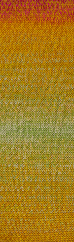 Пряжа Laines du Nord Andina Color (02)