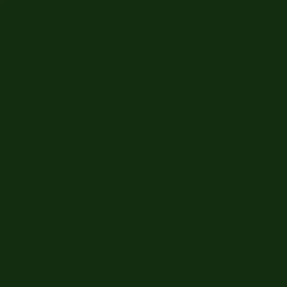 RAL 6009 хаки защитный темный акриловая 520мл аэрозольный баллончик Gamma Paint