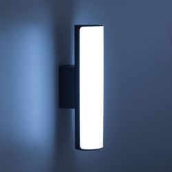 Citilux GARDA CLU0007 LED Уличный светильник Графит