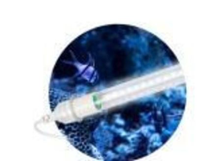 Фитолампа для аквариума светодиодная ЭРА FITO-15W-Ra90-Т8-AQUA полный спектр 15 Вт