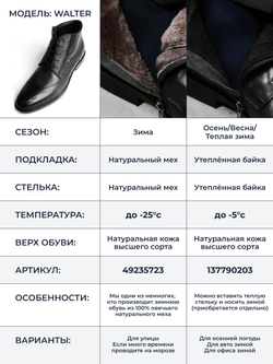 Ботинки Walter 610B
