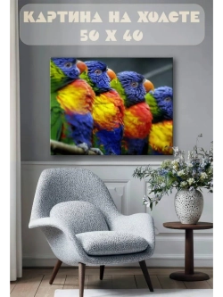 Картина на стену 40 X 50 Попугаи