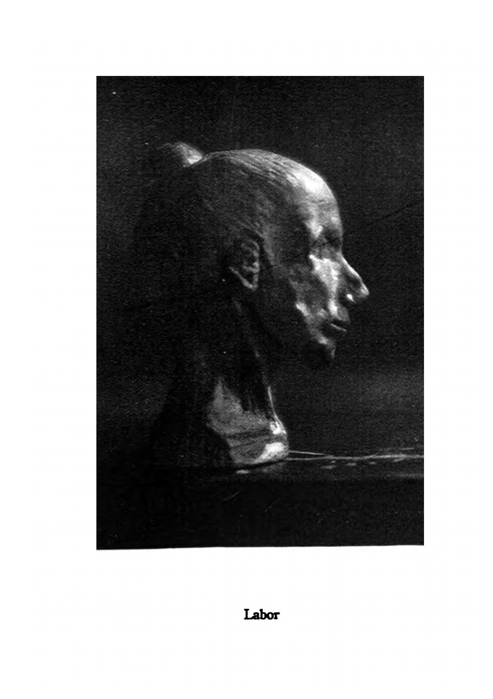 The Triumph of the Egg. A Book of Impressions from American Life in Tales and Poems | Sherwood Anderson