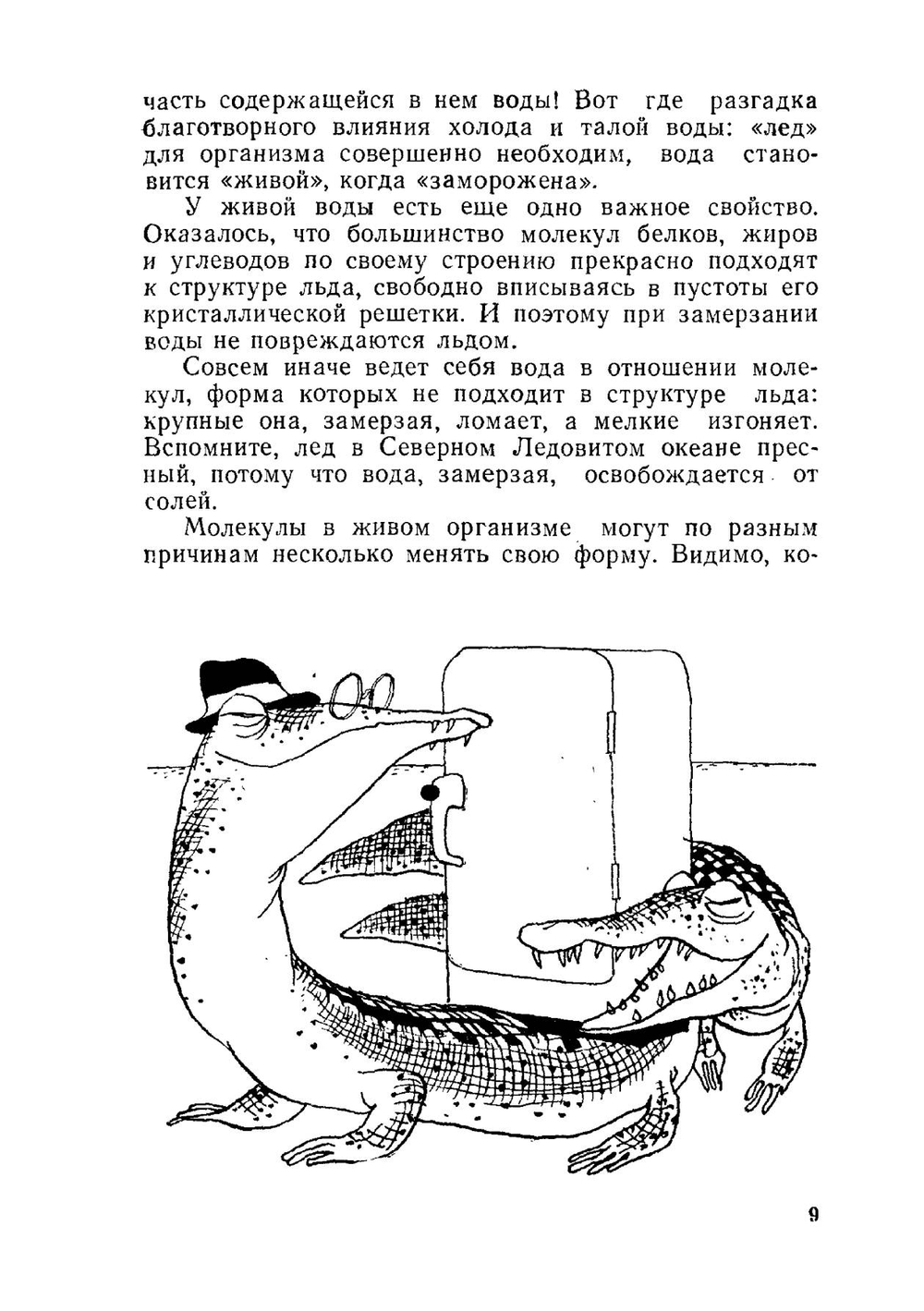 Занимательная физиология | Б. Сергеев