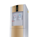 Кулер для воды Ecotronic H1-L gold
