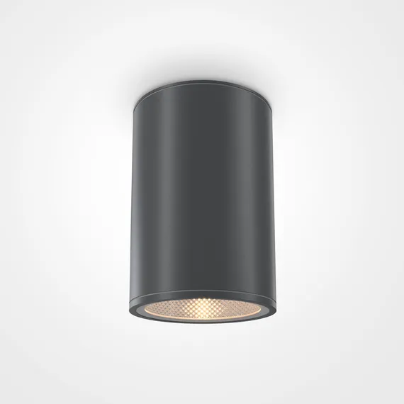 Потолочный светильник Outdoor O306CL-L12GF